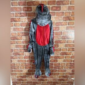 Minister of Rascals side 4T dragon costume